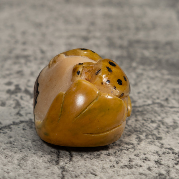 Gold And Black  Poison Dart Frog Tagua Carving