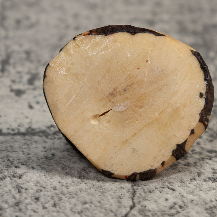 Gold And Black Poison Dart Frog Tagua Carving