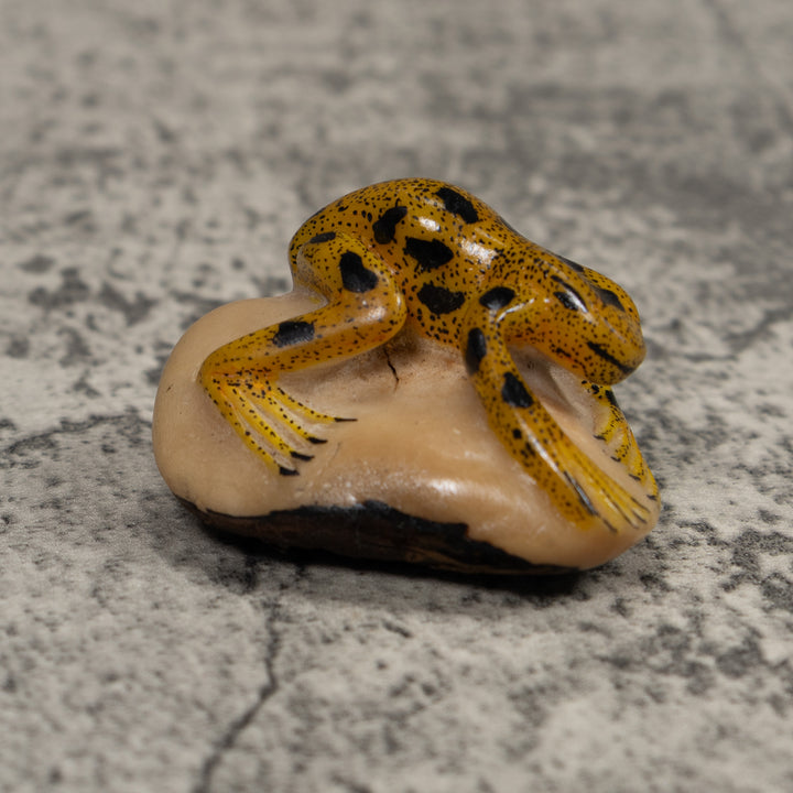 Vintage Golden Frog Tagua Carving