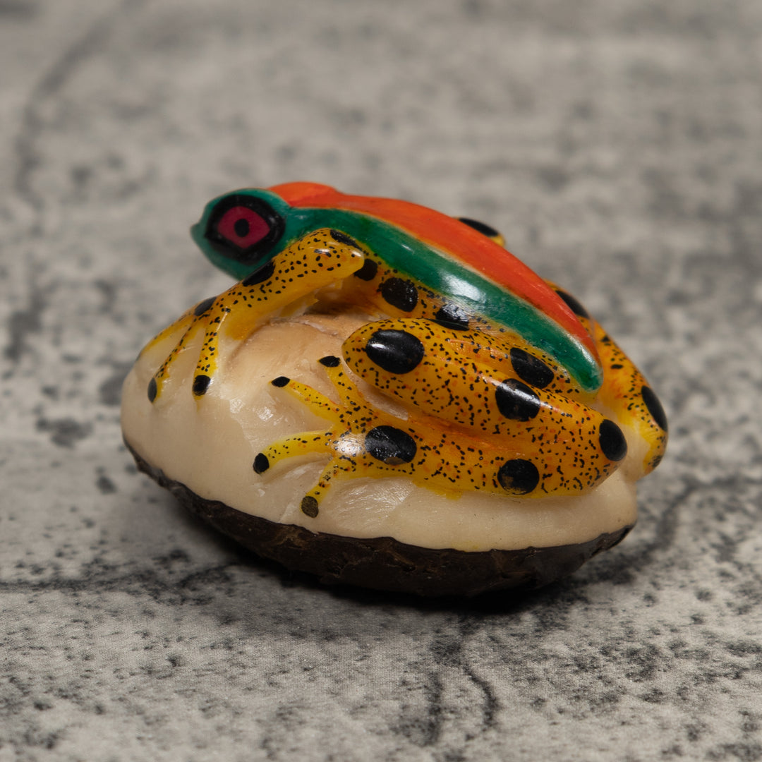 Poison Dart Frog Tagua Carving