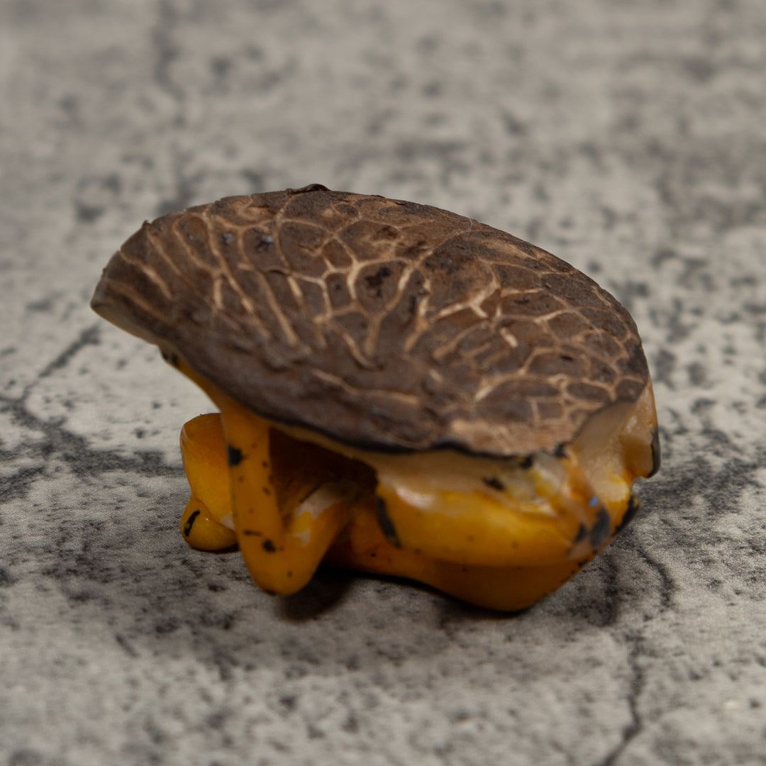 Vintage Gold And Black Frog Tagua Carving