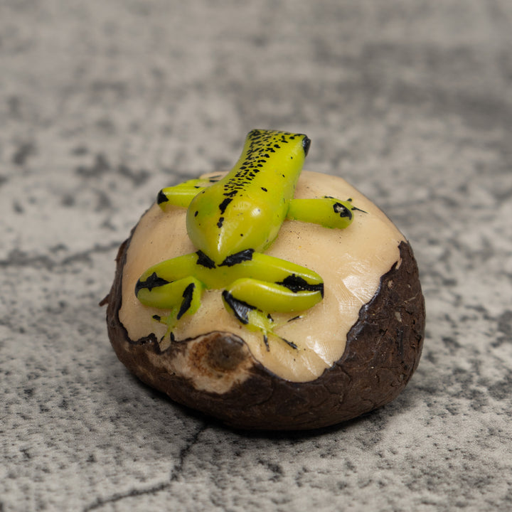 Poison Dart Frog Tagua Carving