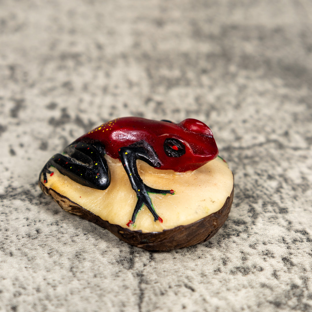 Black And Red Poison Dart Frog Tagua Carving
