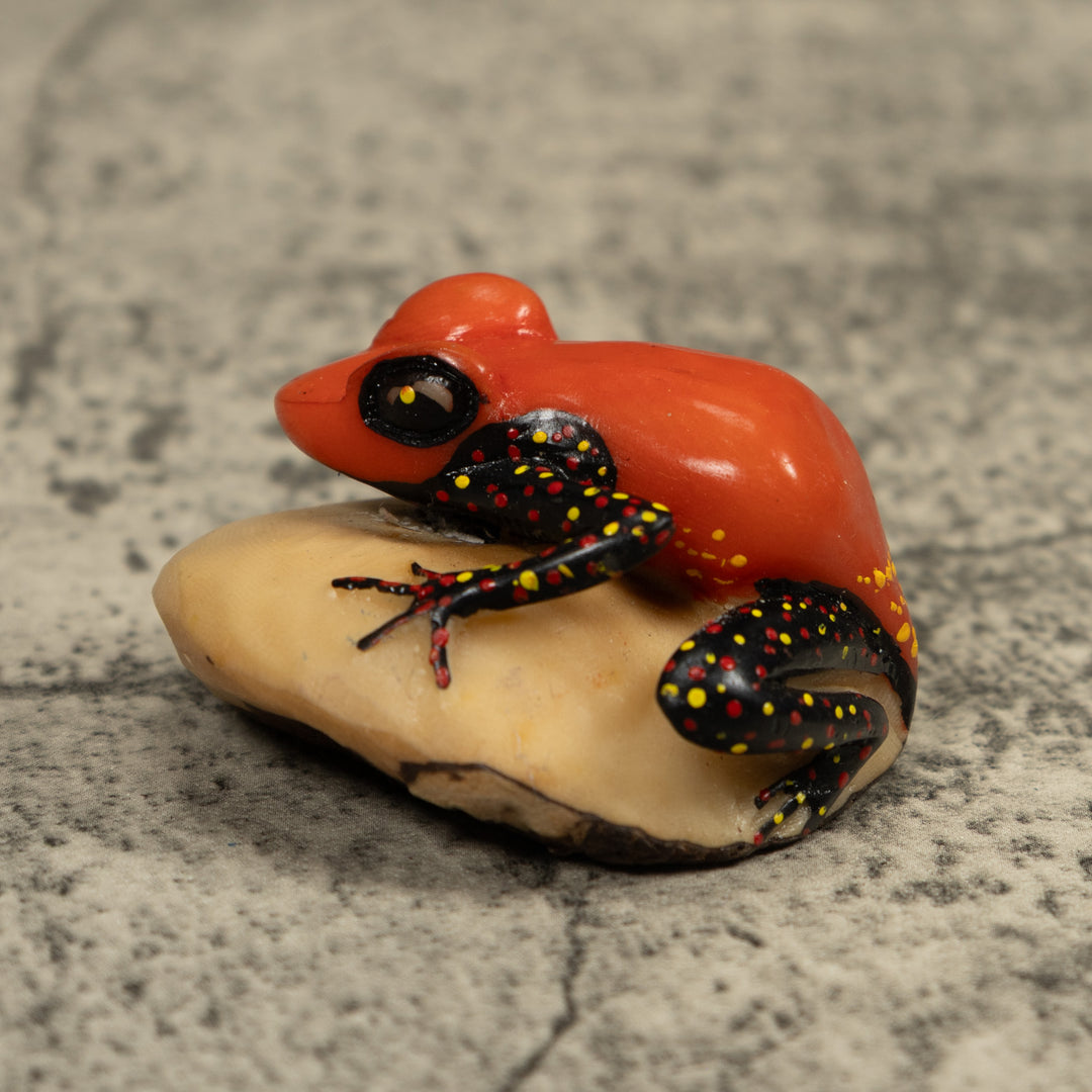 Vintage Red And Black Poison Dart Frog Tagua Carving