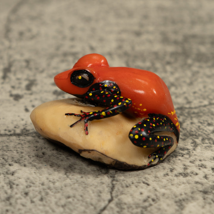 Vintage Red And Black Poison Dart Frog Tagua Carving