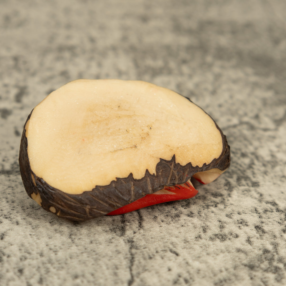 Vintage Red And Green Poison Dart Frog Tagua Carving