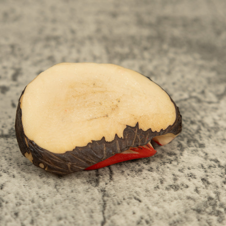 Vintage Red And Green Poison Dart Frog Tagua Carving