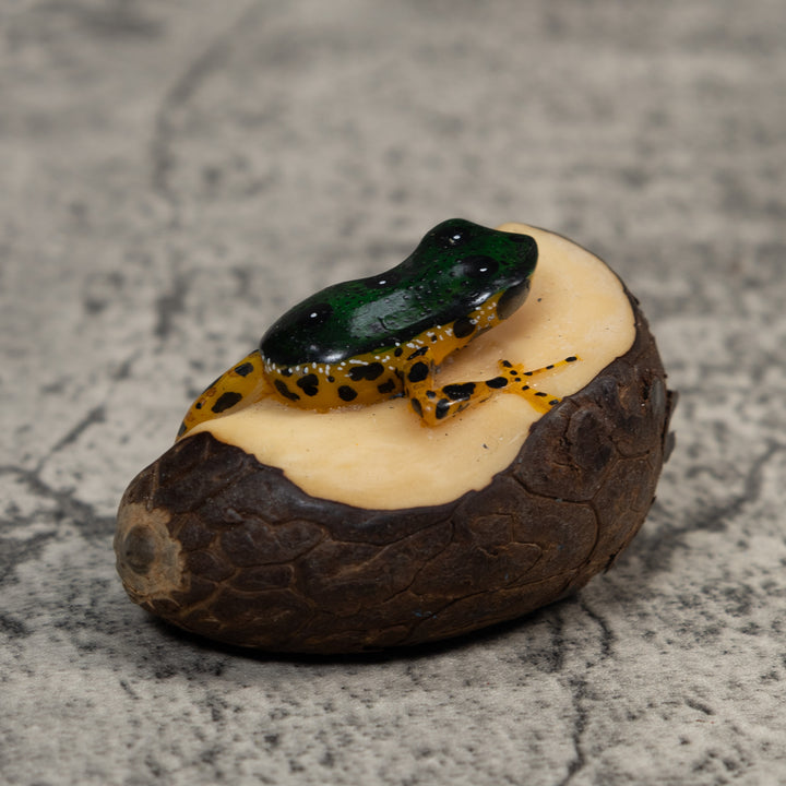 Gold And Black Poison Dart Frog Tagua Carving