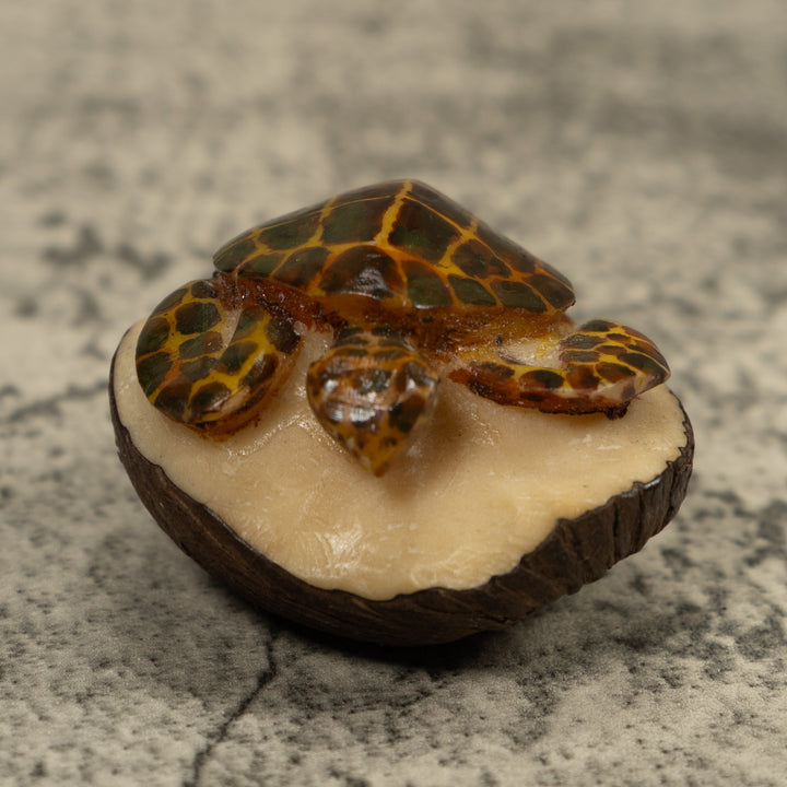 Sea Turtle Tagua Carving