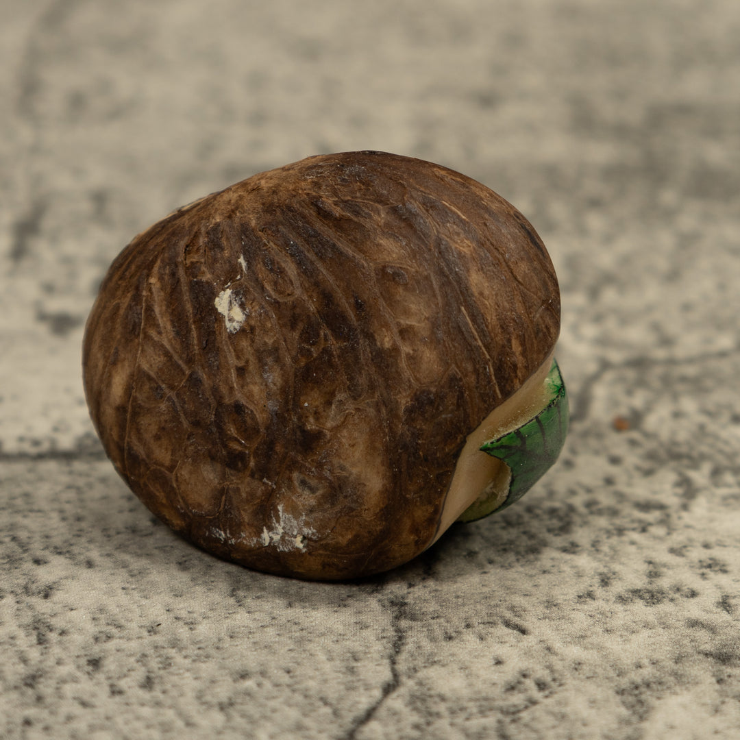 Hiding Poison Dart Frog Tagua Carving