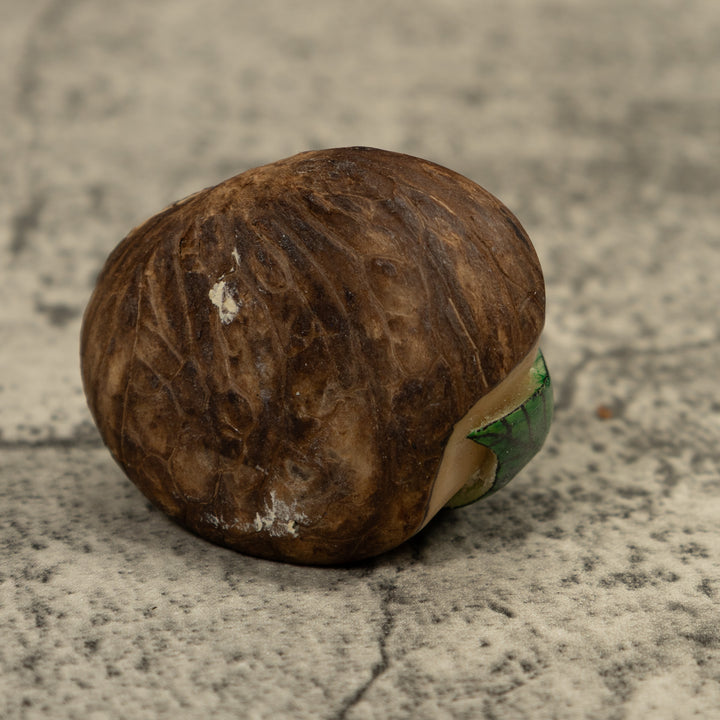 Hiding Poison Dart Frog Tagua Carving