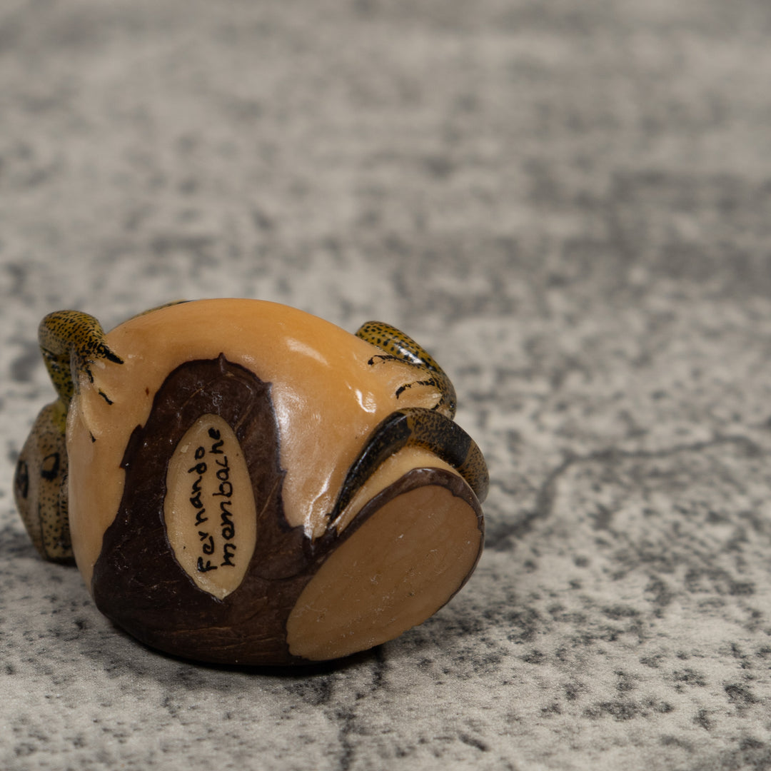 Iguana Lizard Reptile Tagua Carving