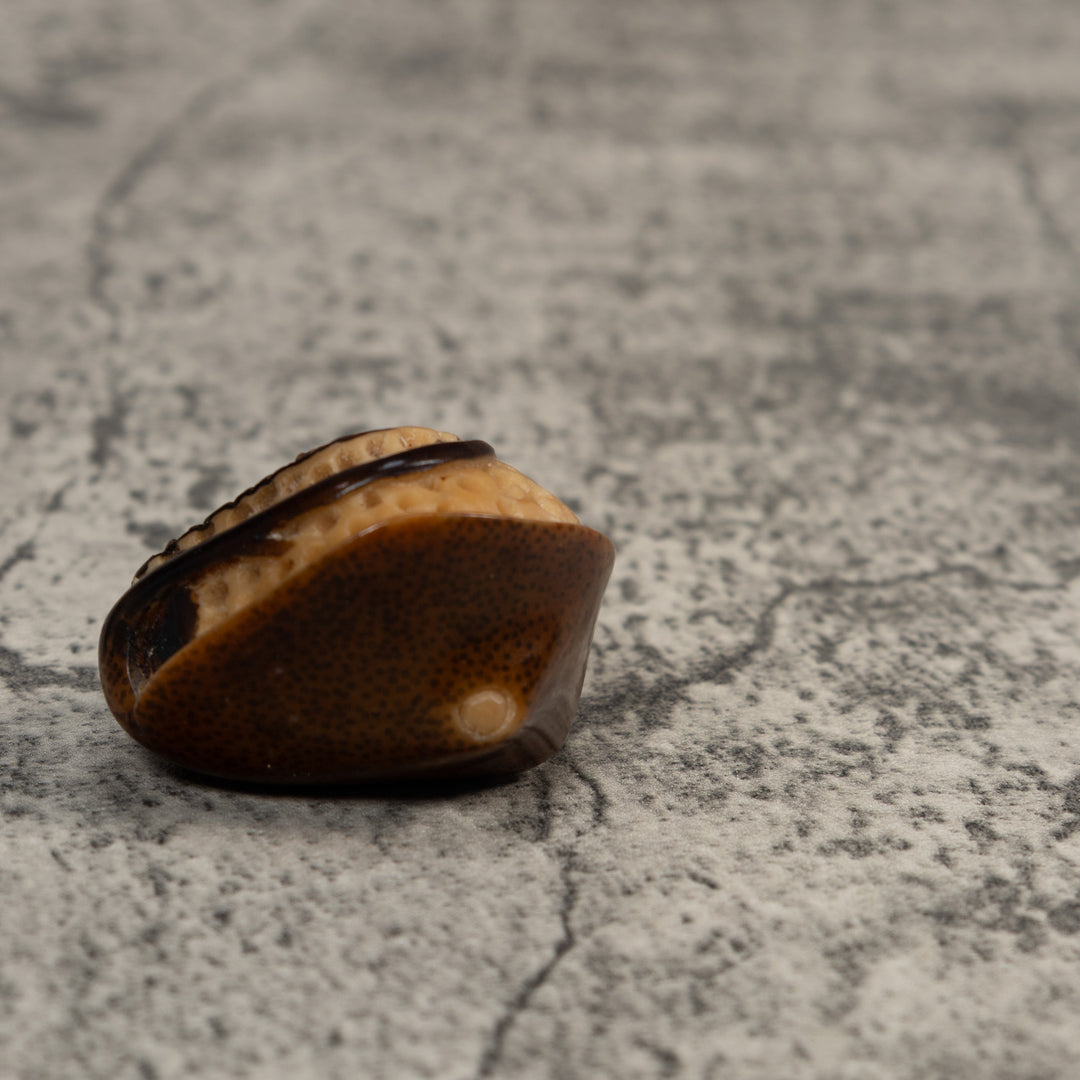 Vintage Stingray Fish Tagua Carving