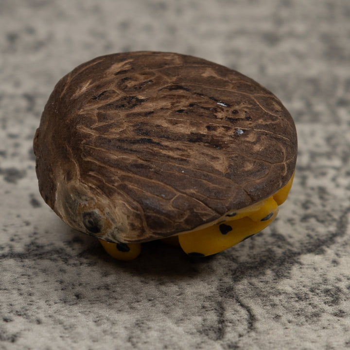 Golden Frog Tagua Carving