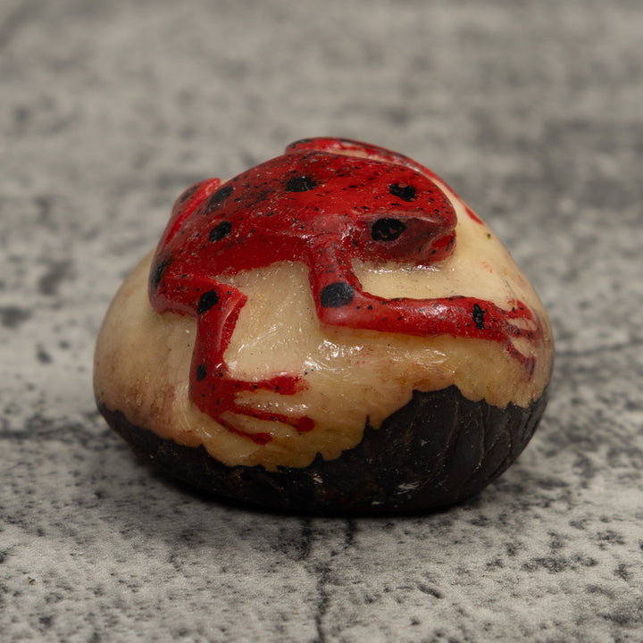 Vintage Red Poison Dart Frog Tagua Carving