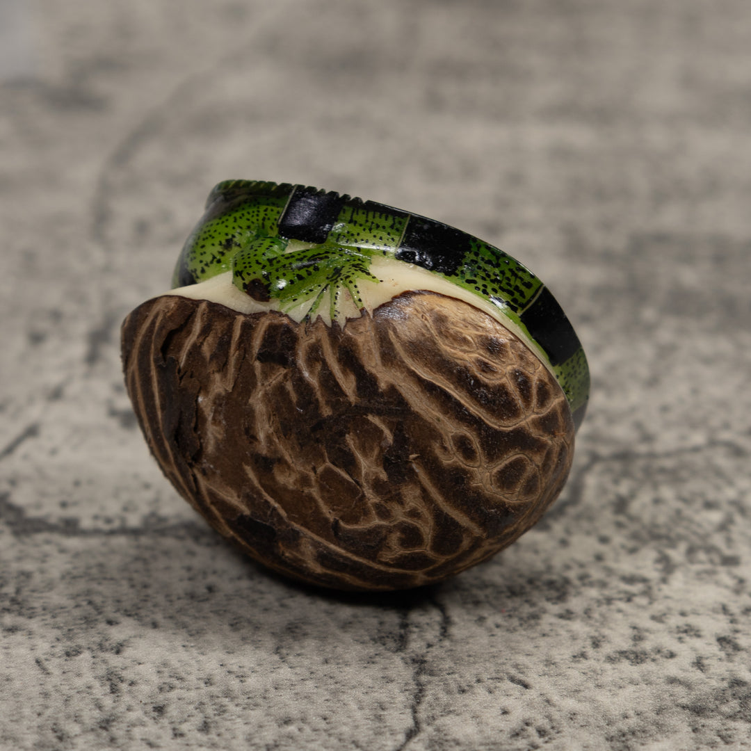 Iguana Lizard Reptile Tagua Carving