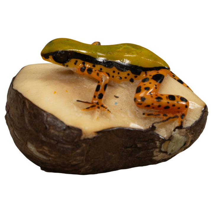Gold Poison Dart Frog Tagua Carving