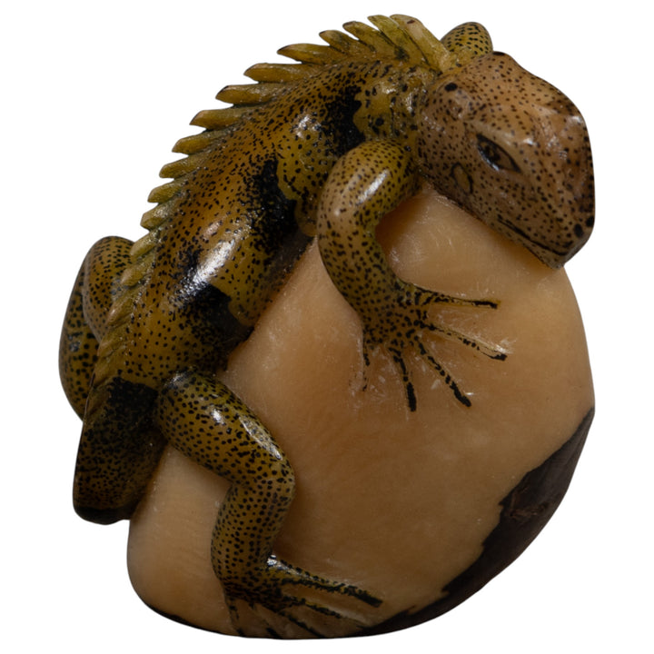 Iguana Lizard Reptile Tagua Carving