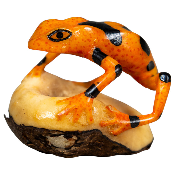 Fully Undercut Poison Dart Frog Tagua Carving