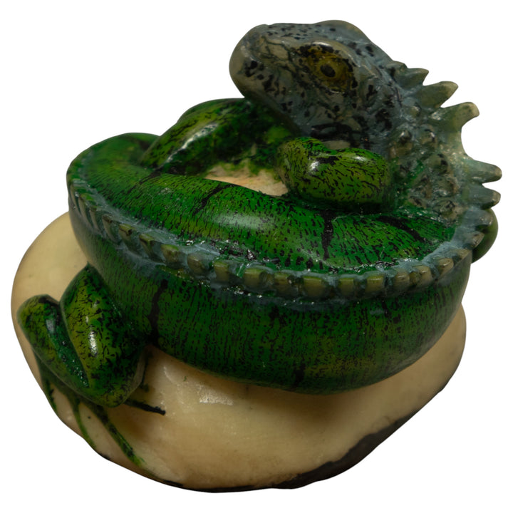 Iguana Lizard Reptile Tagua Carving