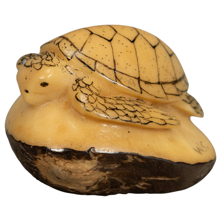 Vintage Black And White Sea Turtle Tagua Carving