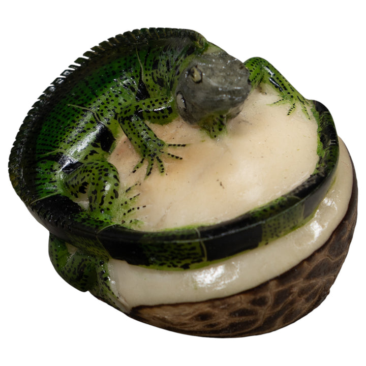 Iguana Lizard Reptile Tagua Carving