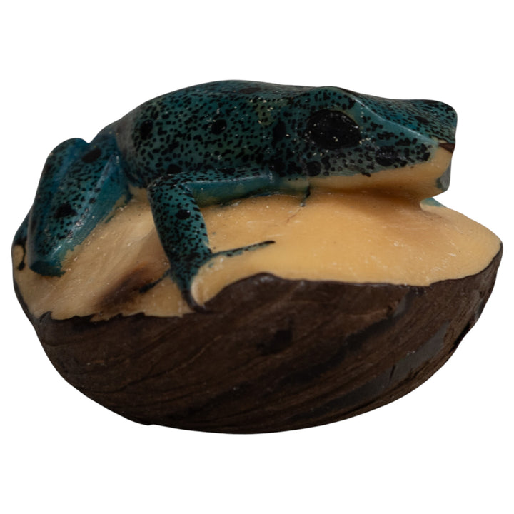 Vintage Blue And Black Frog Tagua Carving