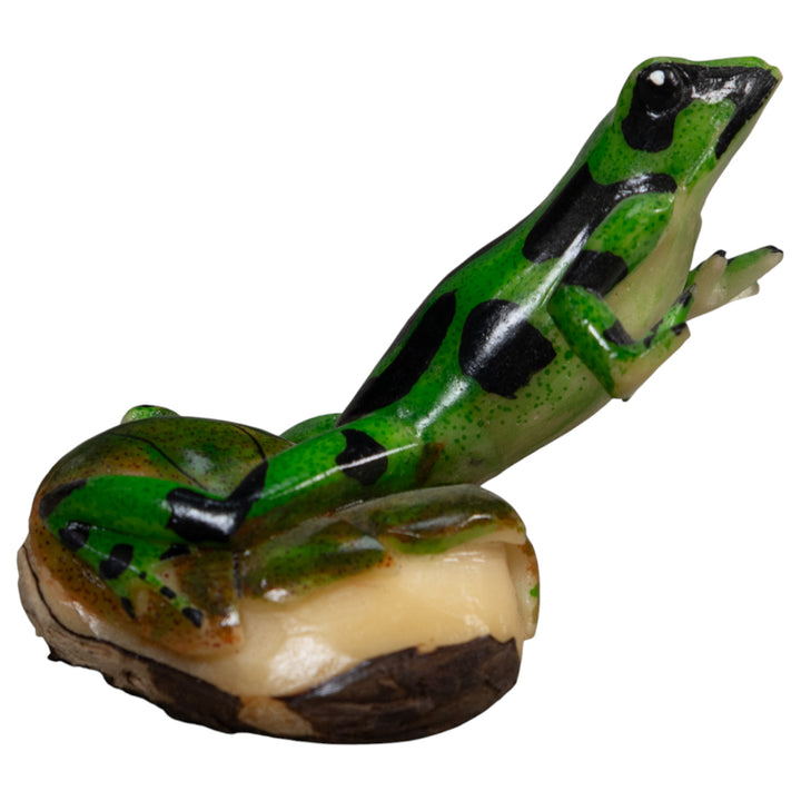 Green And Black Poison Dart Frog Tagua Carving