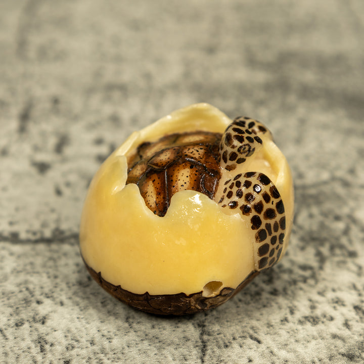 Black And Brown Sea Turtle Emerging From Egg Tagua Carving