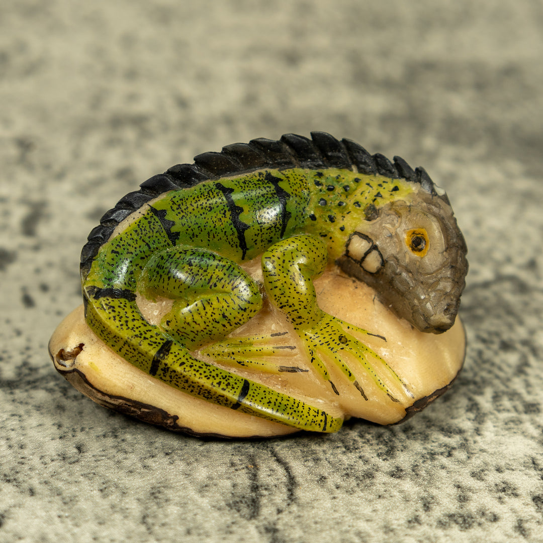 Green Iguana Lizard Tagua Carving