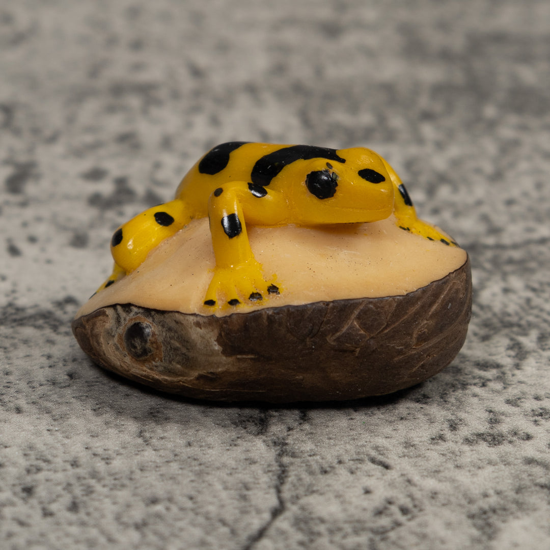Golden Frog Tagua Carving