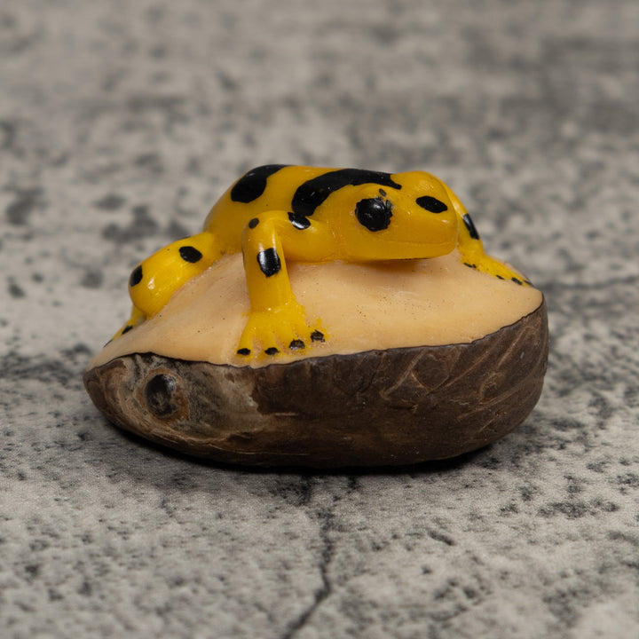 Golden Frog Tagua Carving