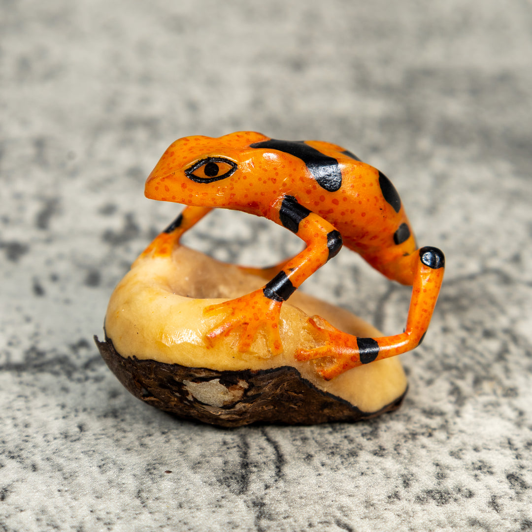 Fully Undercut Poison Dart Frog Tagua Carving