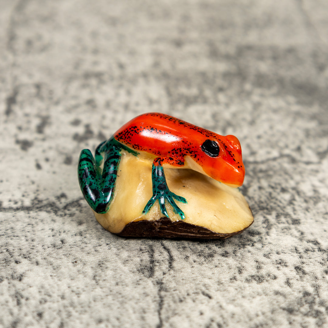 Red And Blue Poison Dart Frog Tagua Carving
