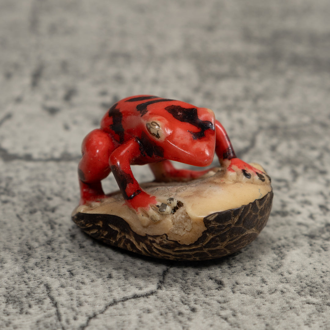 Vintage Red And Black Poison Dart Frog Tagua Carving