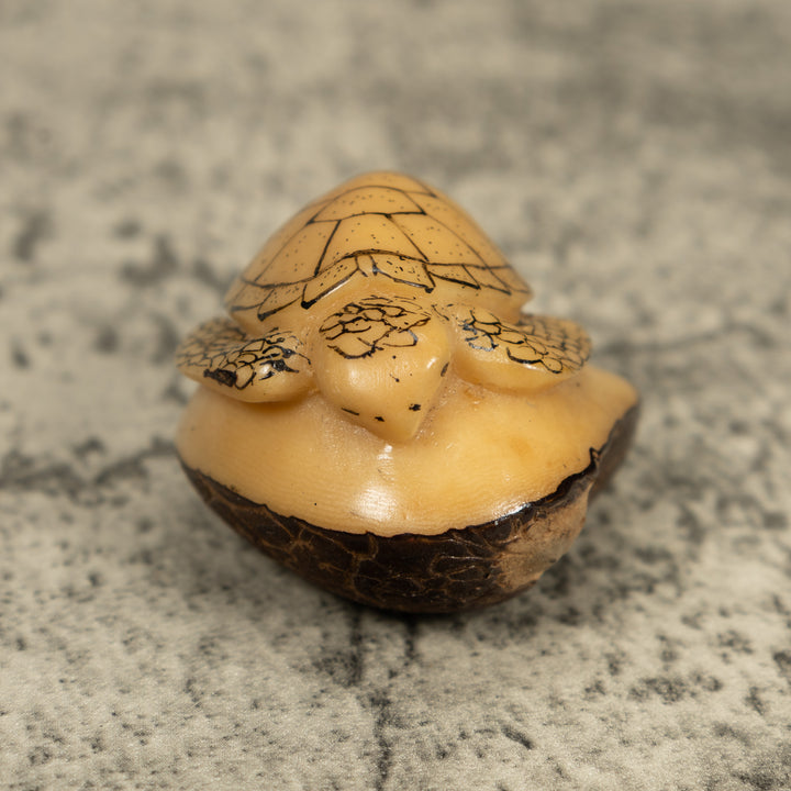 Vintage Black And White Sea Turtle Tagua Carving