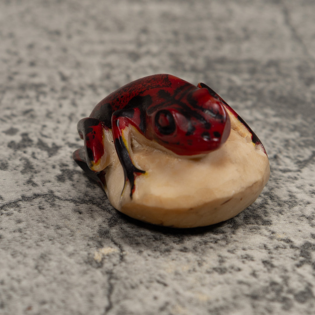 Vintage Red And Black Frog Tagua Carving