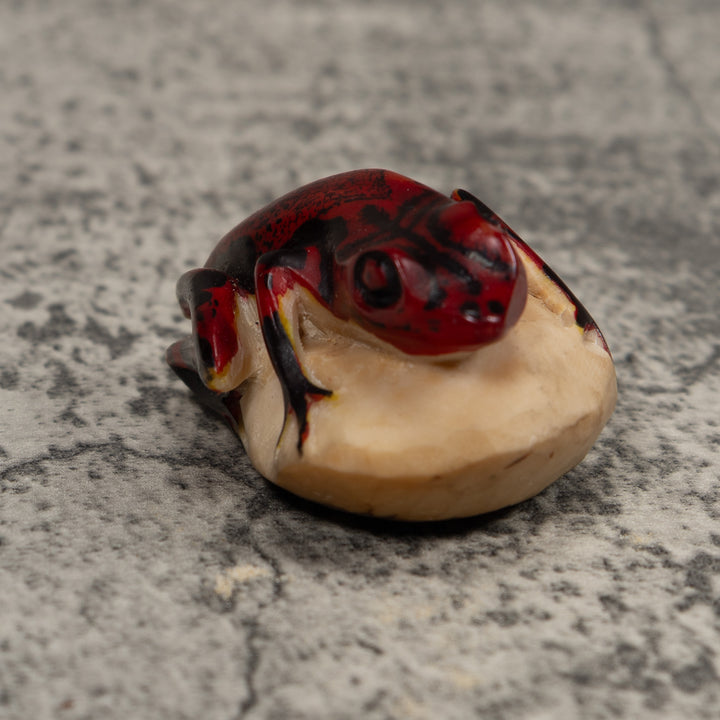 Vintage Red And Black Frog Tagua Carving