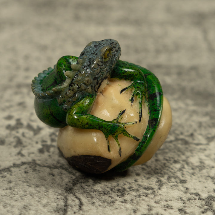 Iguana Lizard Reptile Tagua Carving
