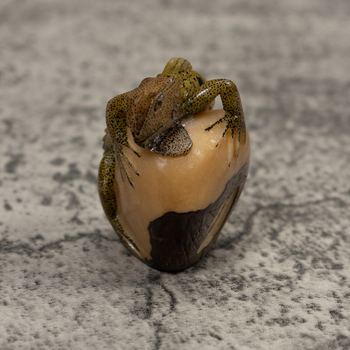 Iguana Lizard Reptile Tagua Carving