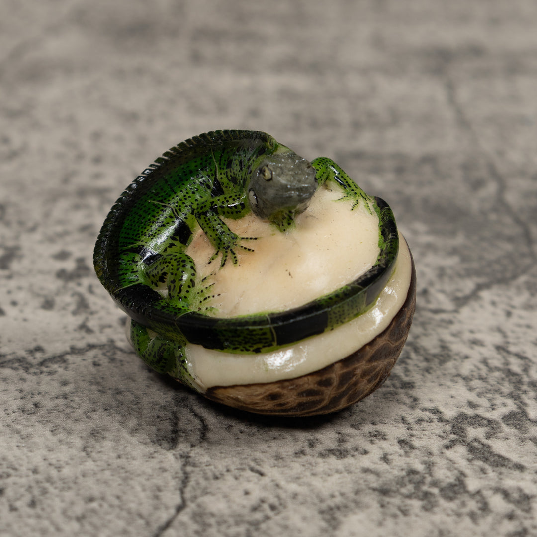 Iguana Lizard Reptile Tagua Carving