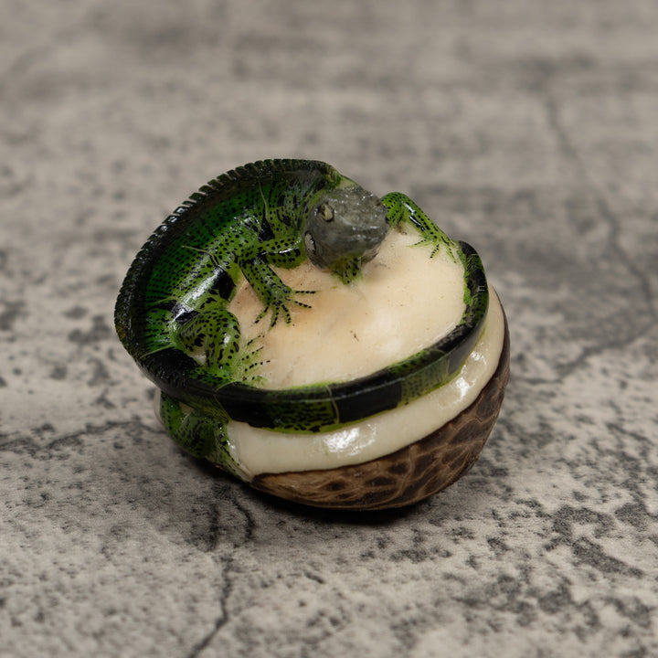 Iguana Lizard Reptile Tagua Carving