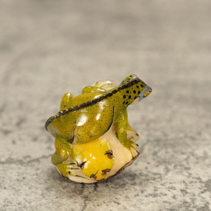 Iguana Lizard Tagua Nut Carving
