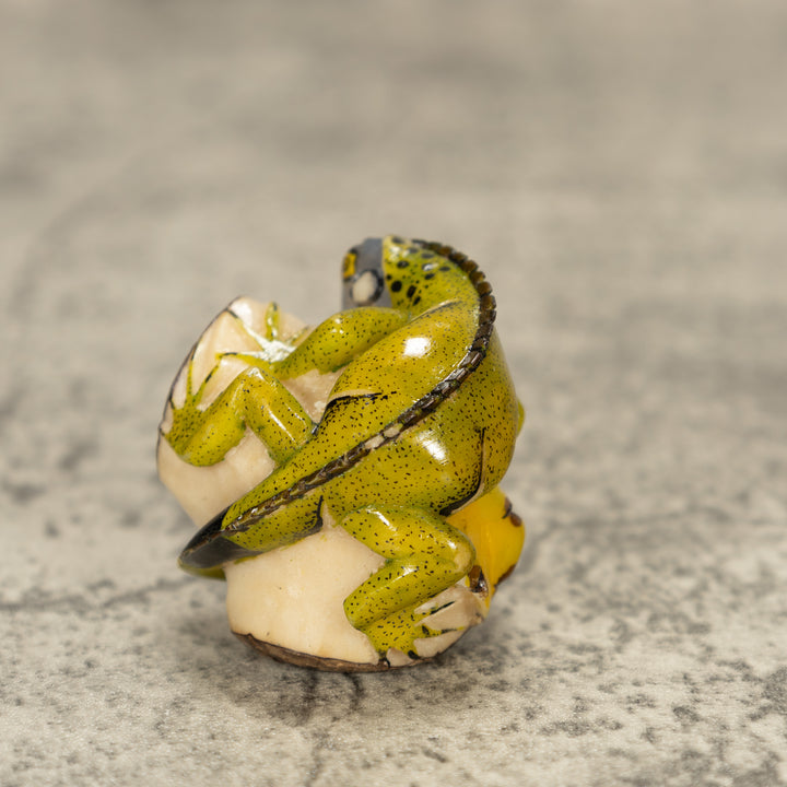 Iguana Lizard Tagua Nut Carving
