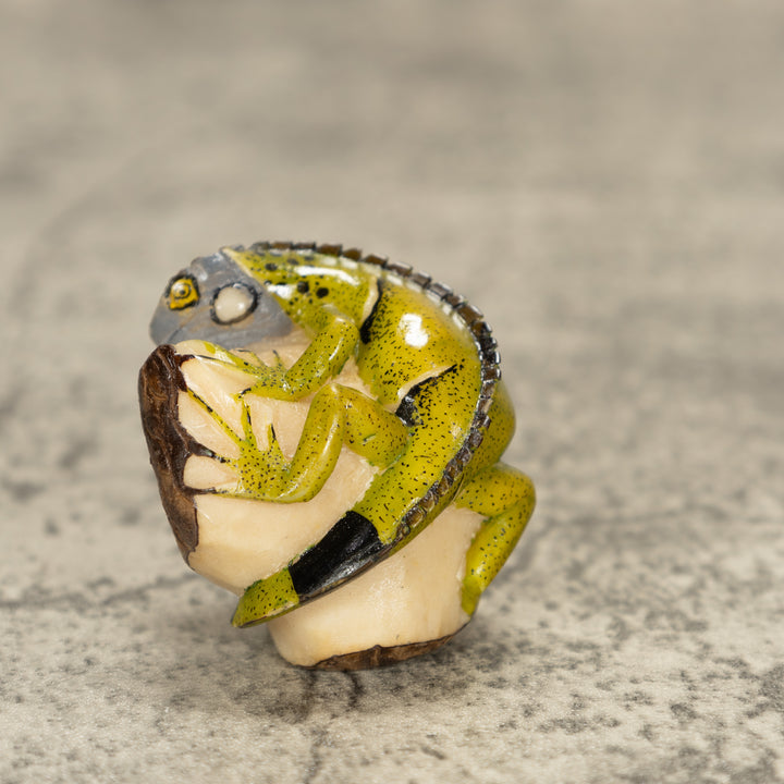 Iguana Lizard Tagua Nut Carving