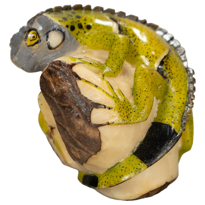 Iguana Lizard Tagua Nut Carving