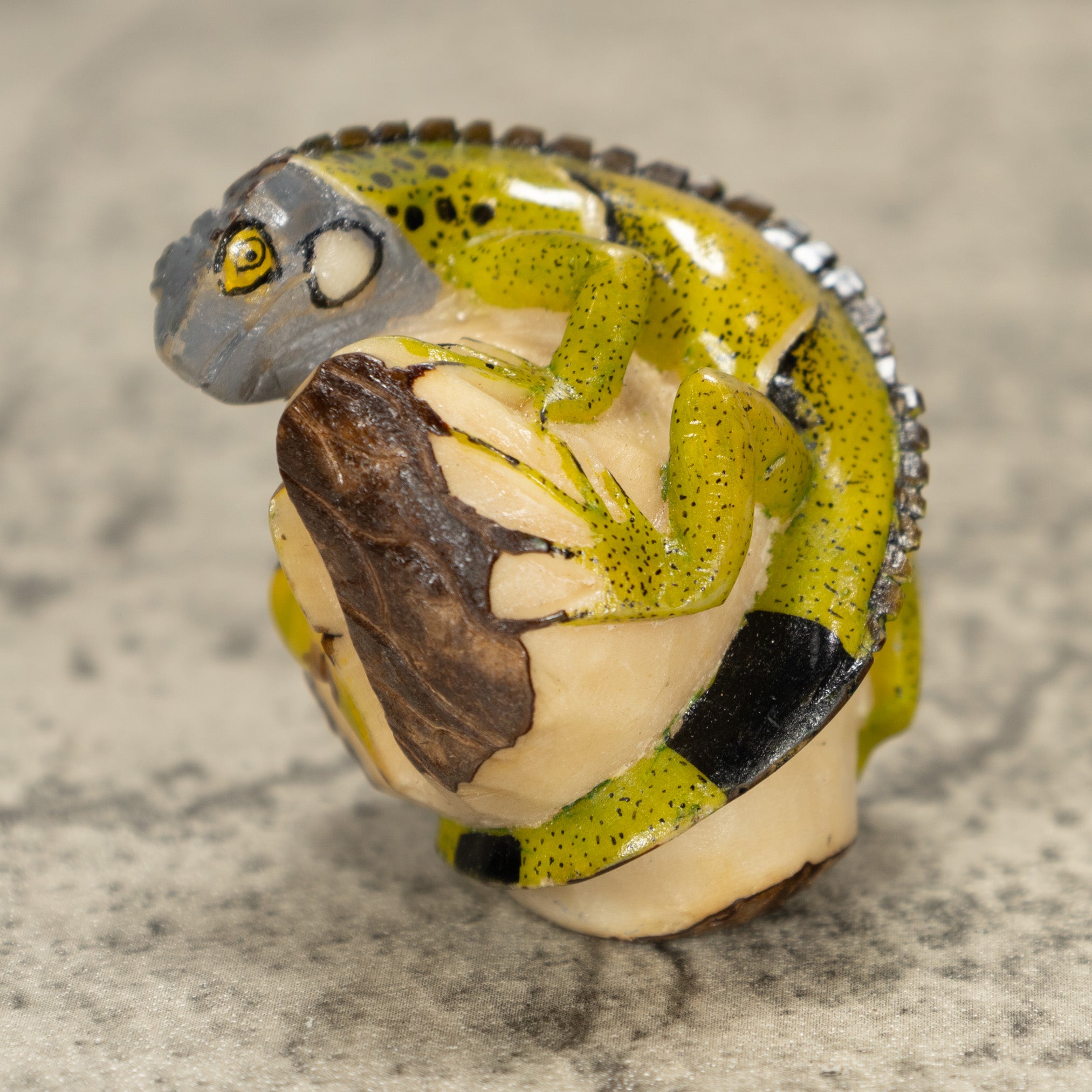 Iguana Lizard Tagua Nut Carving
