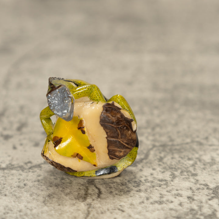 Iguana Lizard Tagua Nut Carving