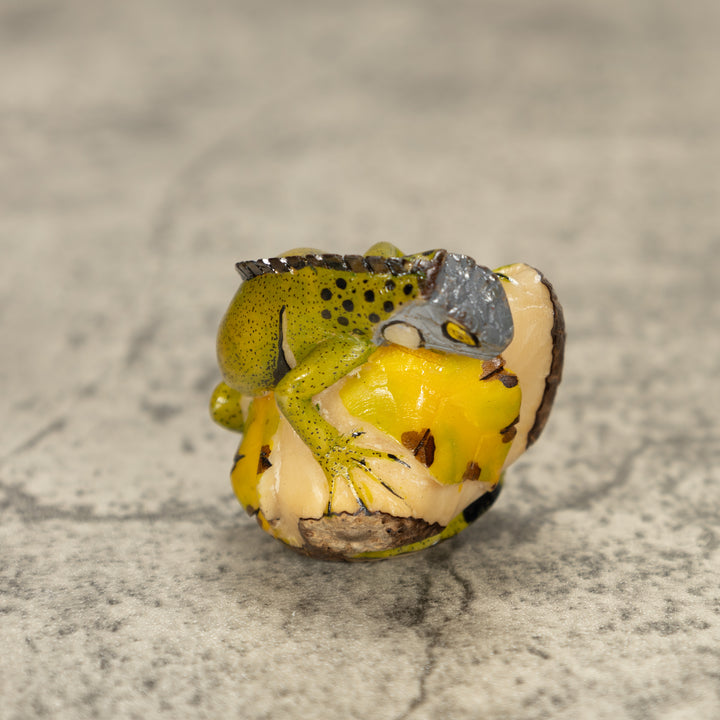 Iguana Lizard Tagua Nut Carving