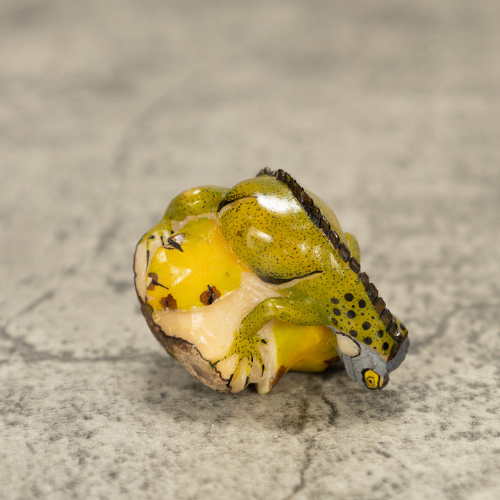 Iguana Lizard Tagua Nut Carving